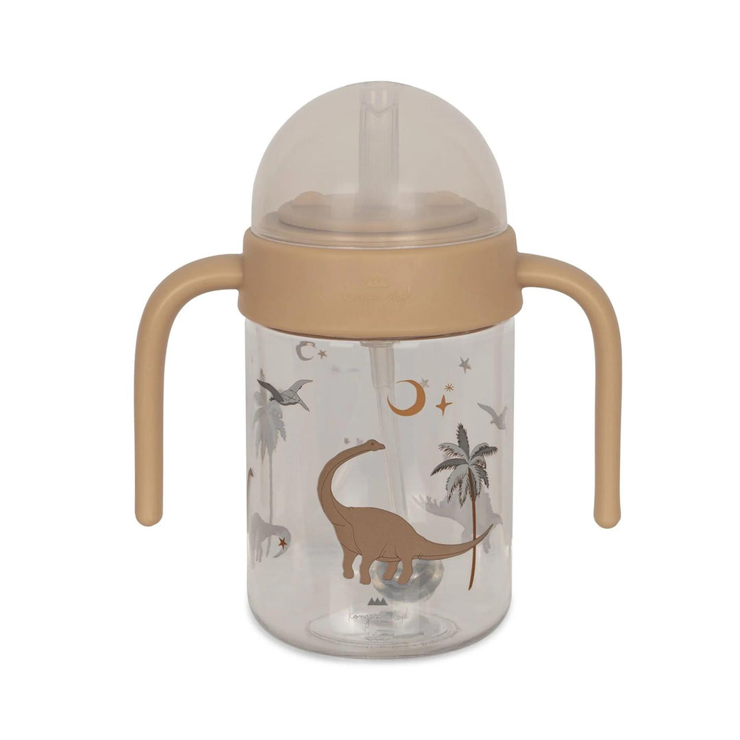 BOTTLE WITH HANDLE Dino