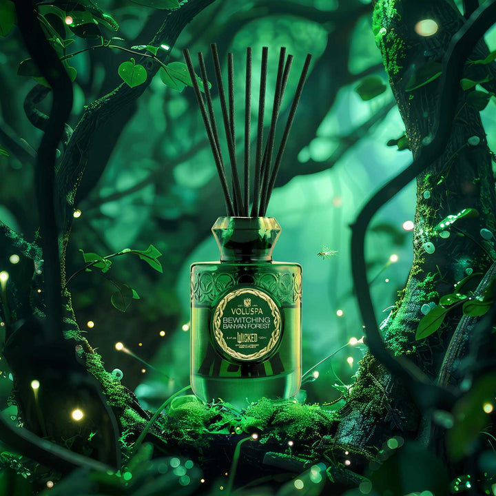 REED DIFFUSER 100ML  Bewitching Banyan Forest