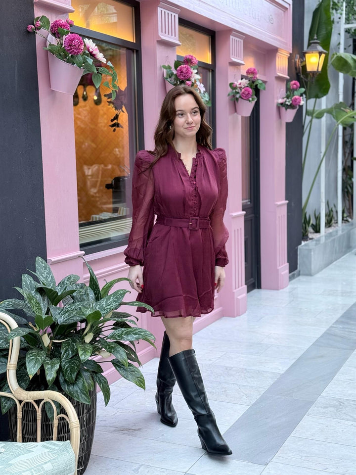 Organza Mini Dress  Burgundy