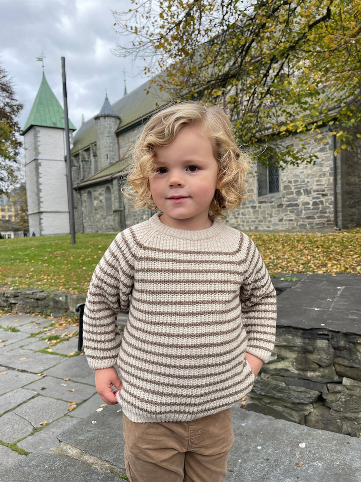 Camisola riscas  Castanho