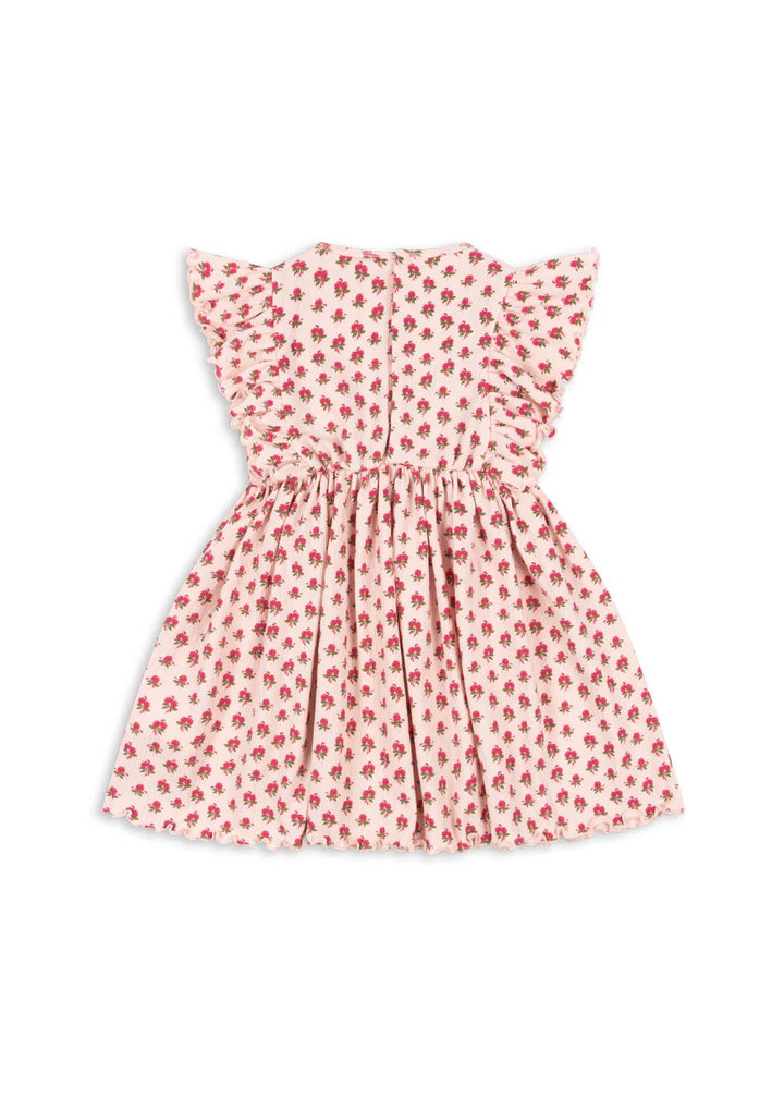 CHLEO DRESS OCS  Rosa