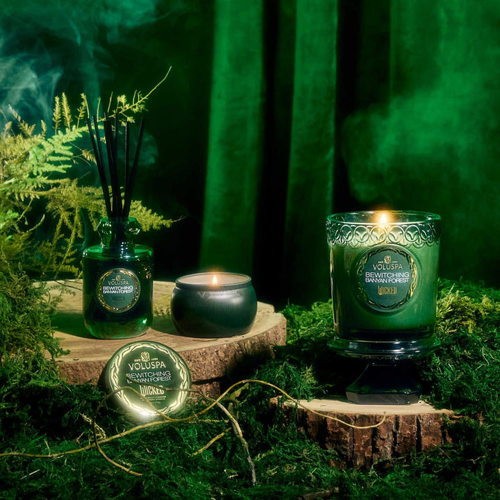 BOXED CANDLE 60T  Bewitching Banyan Forest