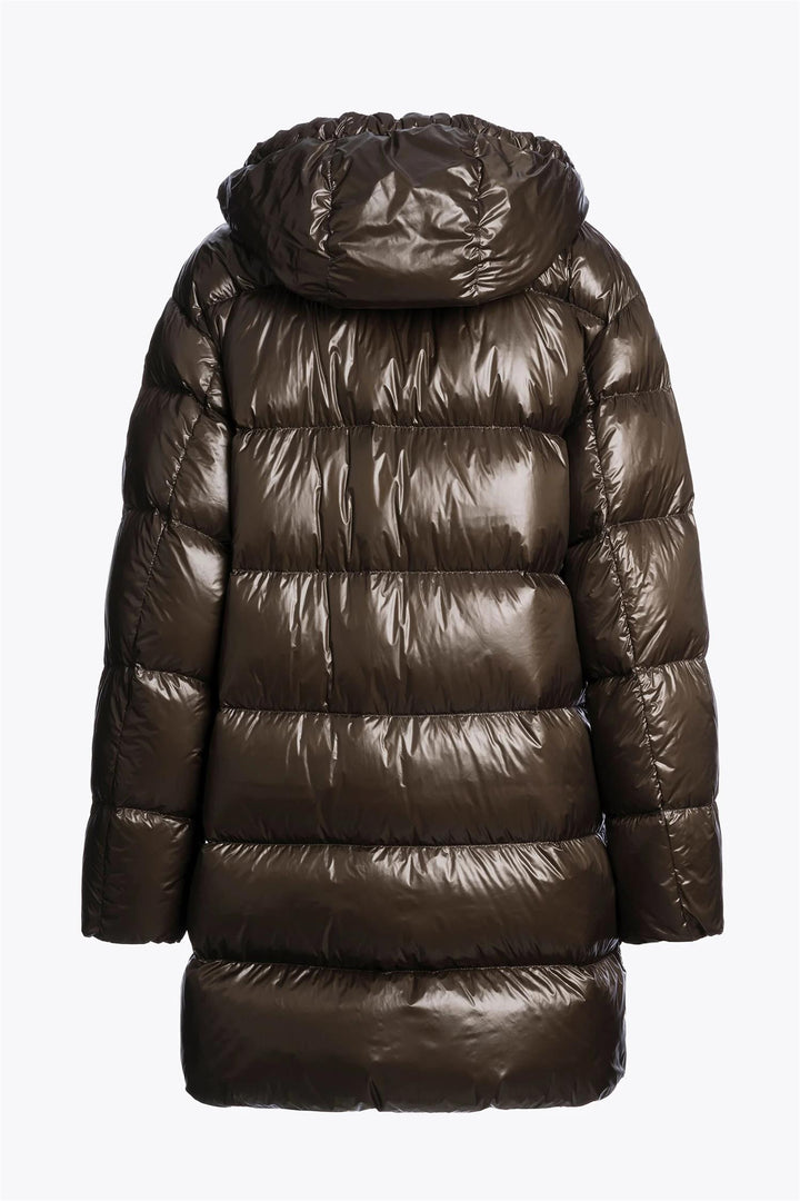 IVONNE  109 Earth Brown