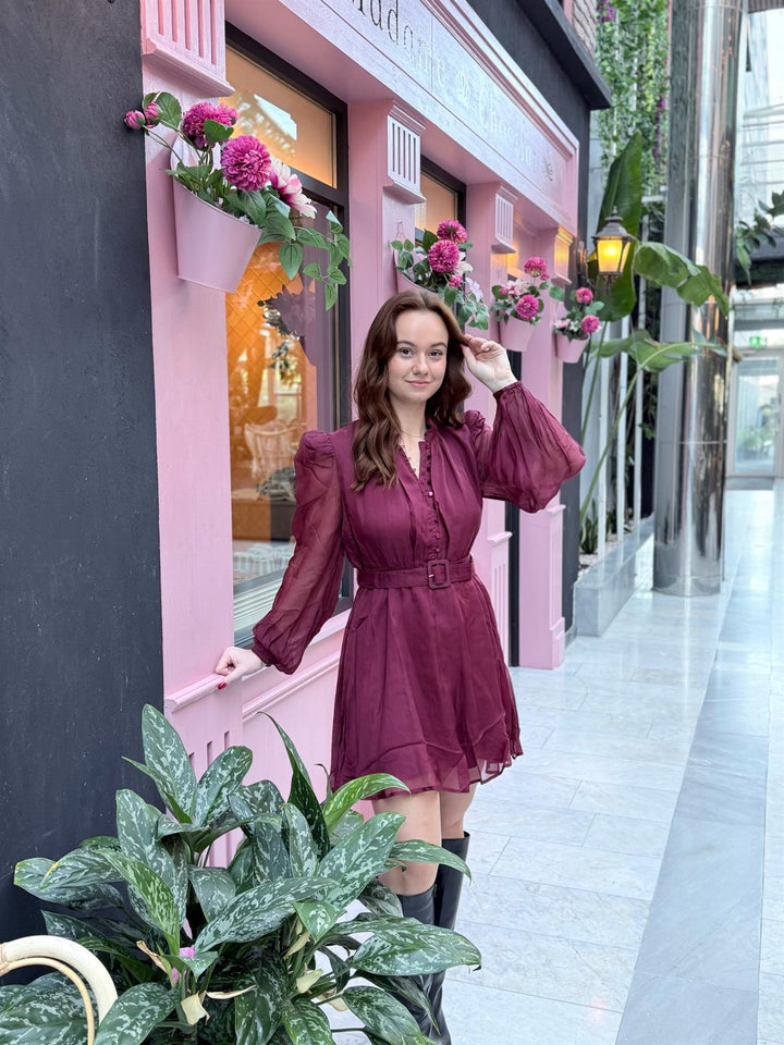 Organza Mini Dress  Burgundy