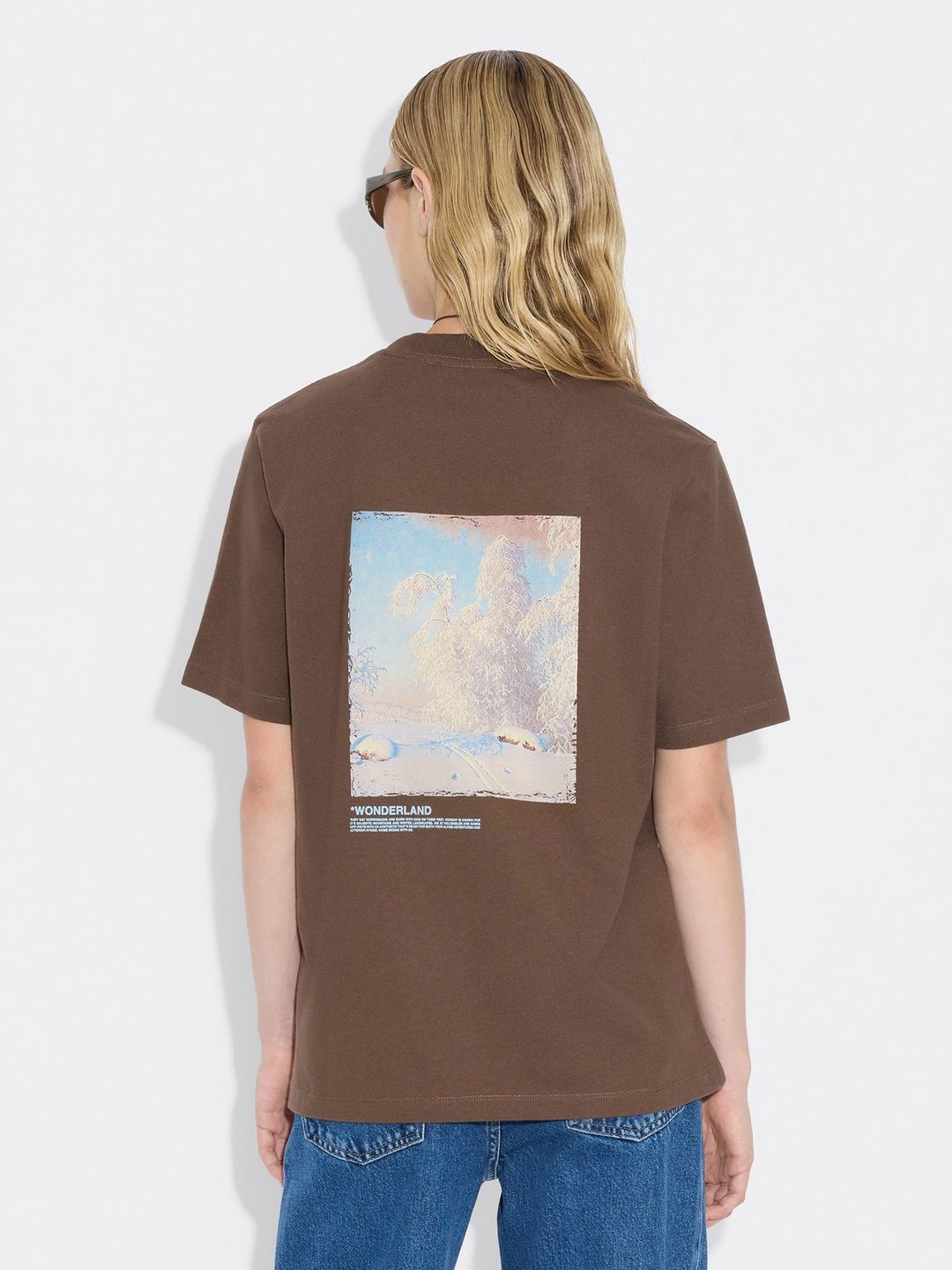 Kjerag National Tee  Brown