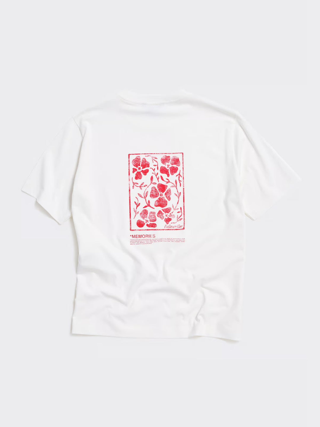 Kjerag National Tee  White