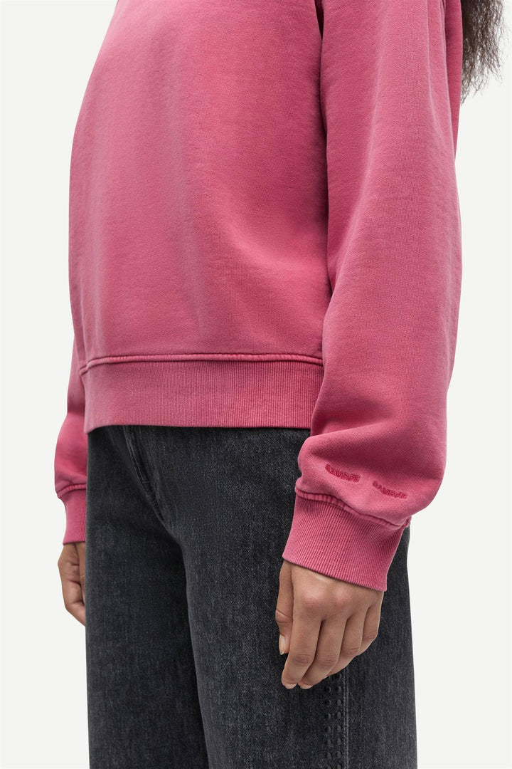 Savan Sweat 15697  Earth Red Pigment