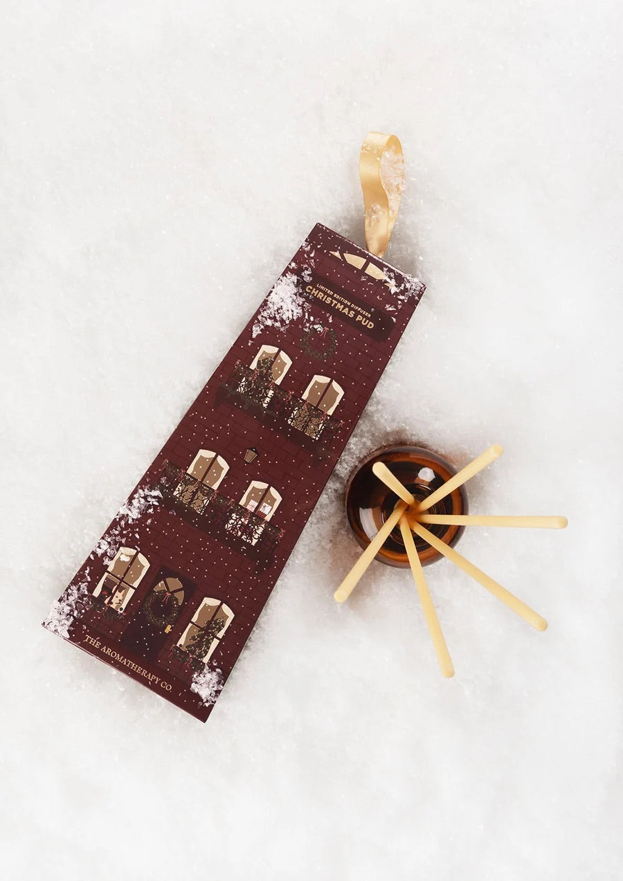 DIFFUSER CHRISTMAS PUD