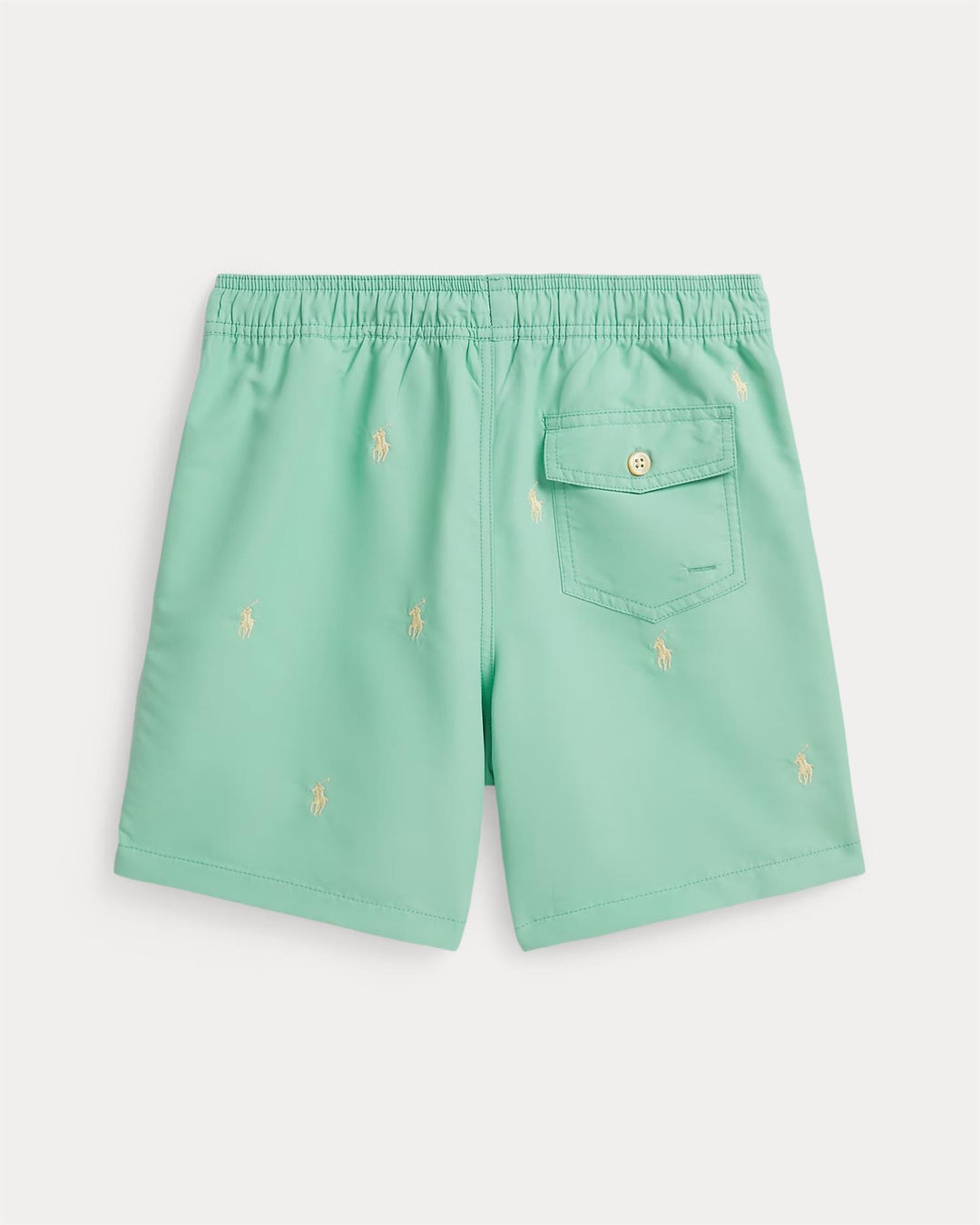 TRAVELER-SWIMWEAR-TRUNK  Green