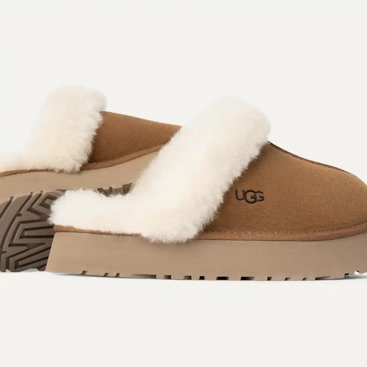 W Disquette  Chestnut