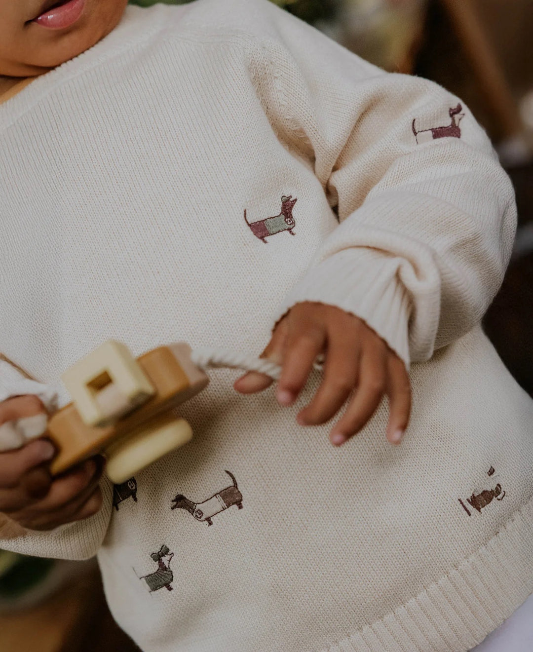 MAHDI DOG PULLOVER  Sandshell