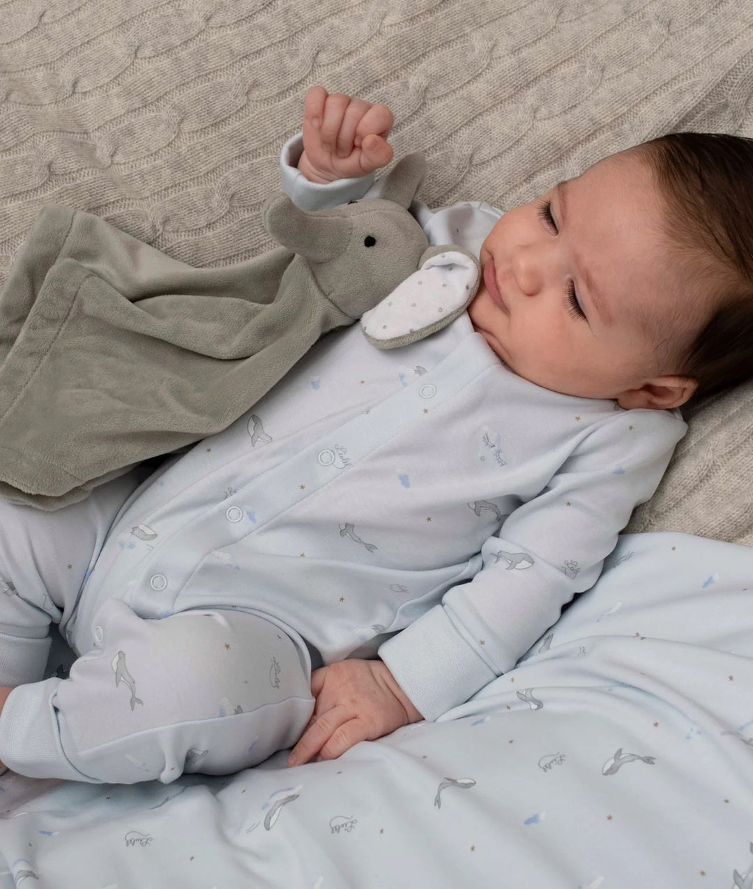 Whales Overall Blue