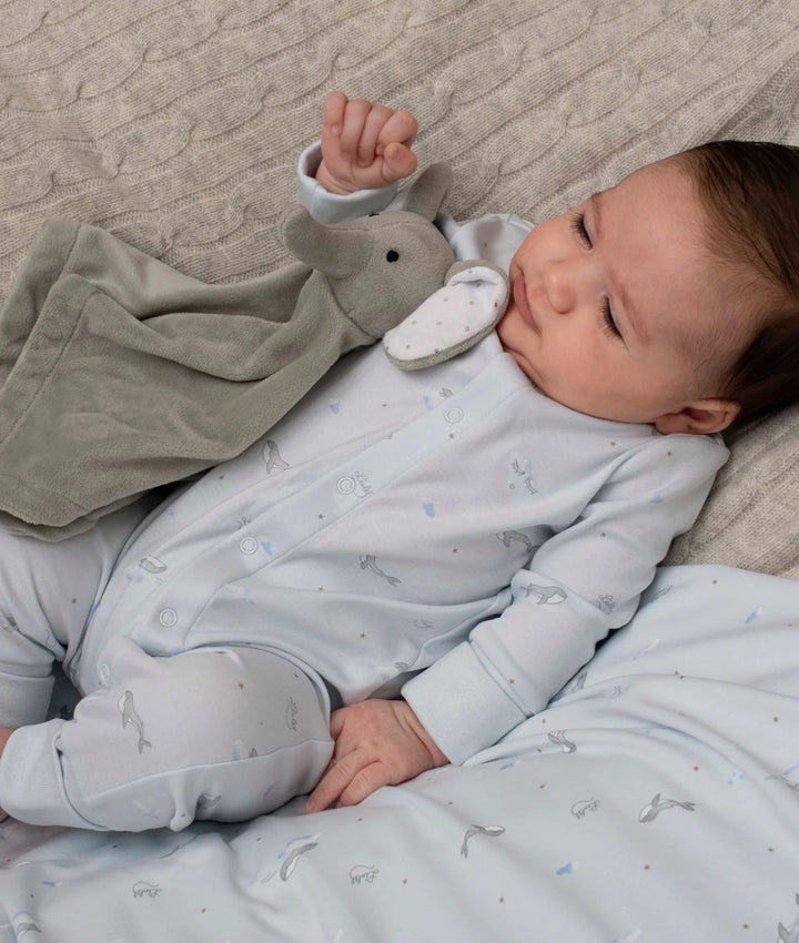 Whales Overall Blue