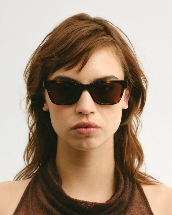 Jimi Tortoise  Tortoise