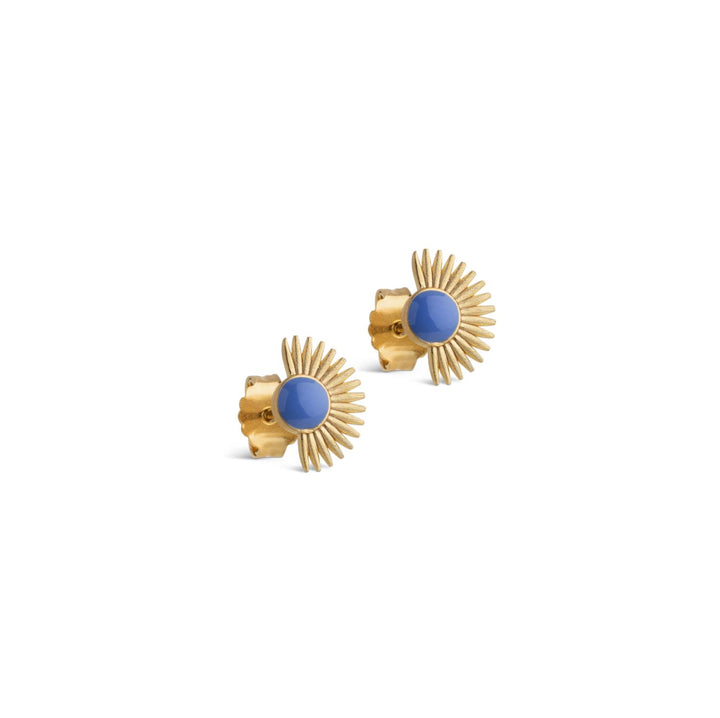 Studs, Soleil  Cornflower