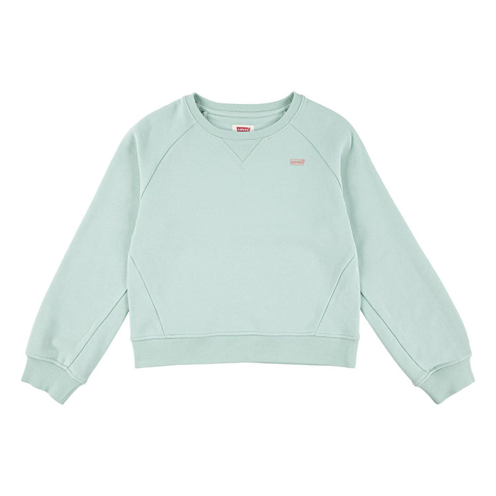 LEVIS HD SILICONE BATWING  Celadon