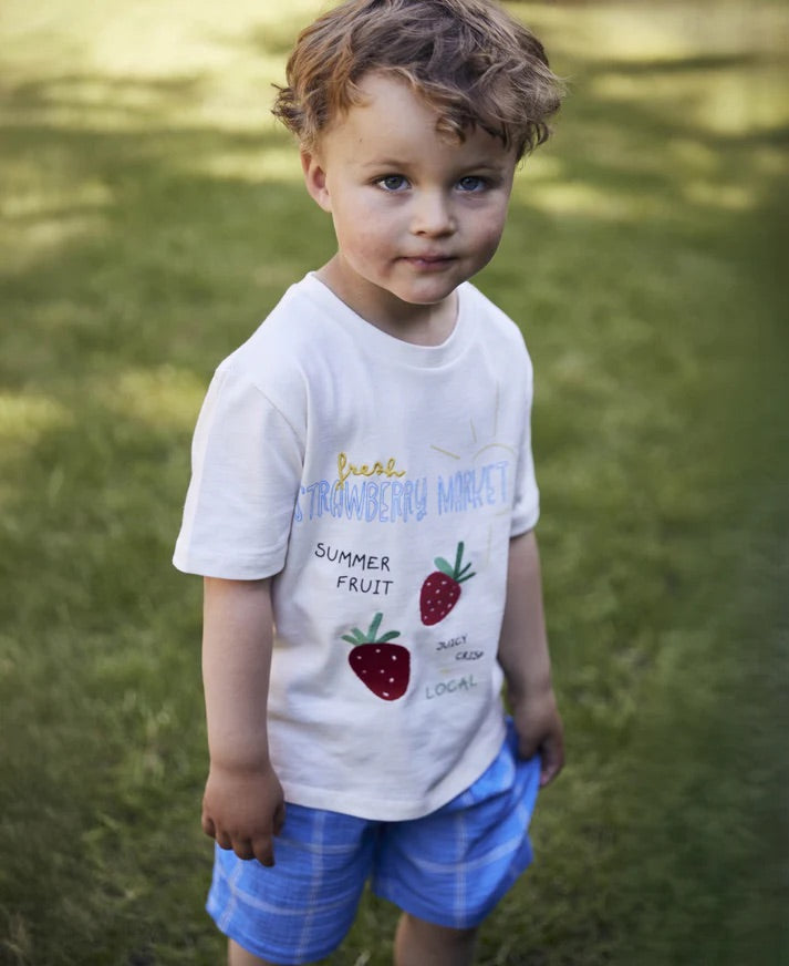 SOMMER STAWBERRY T-SHIRT  Cloud Dancer