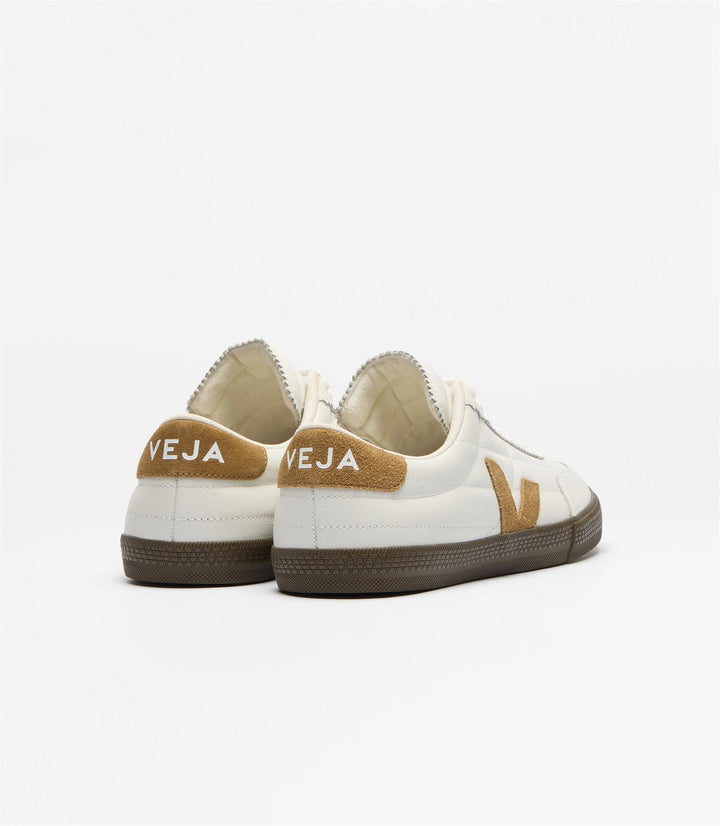 Panenka  White_Tent_Falcon