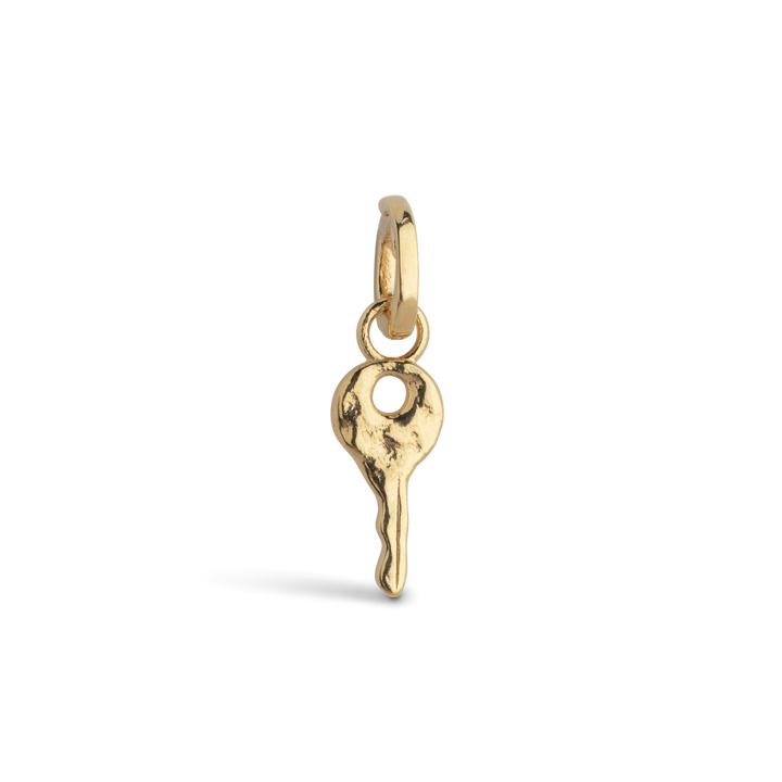 Charm, Magic Key  925S/Gp