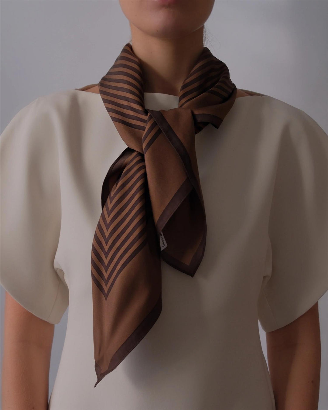 Striped Scarf  Brown