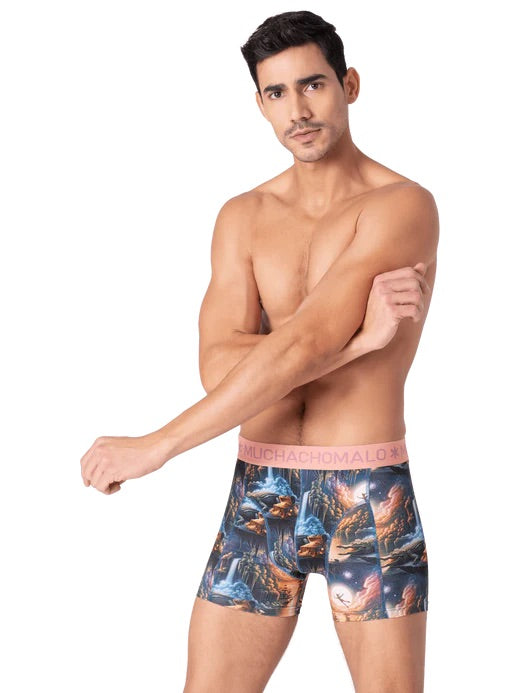 1010 Pinocchiopeter 04 2pk boxer pr./pr.  Multi