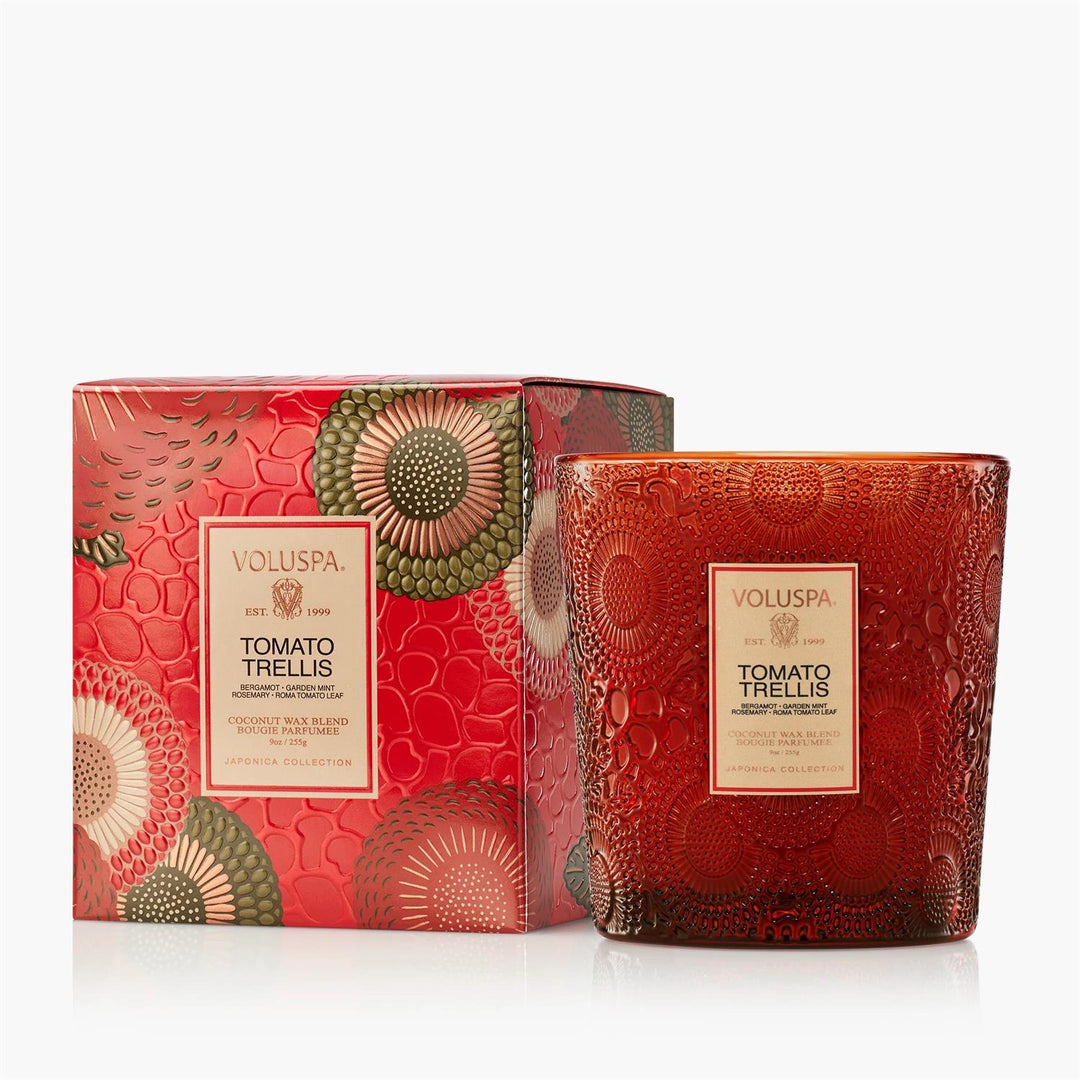 BOXED CANDLE 60T  Tomato Trellis