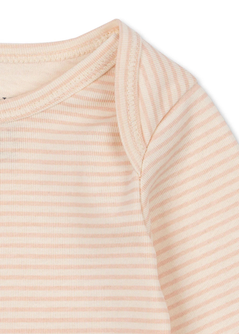FIO STRIPE LS BODY Tea Stripe Cameo