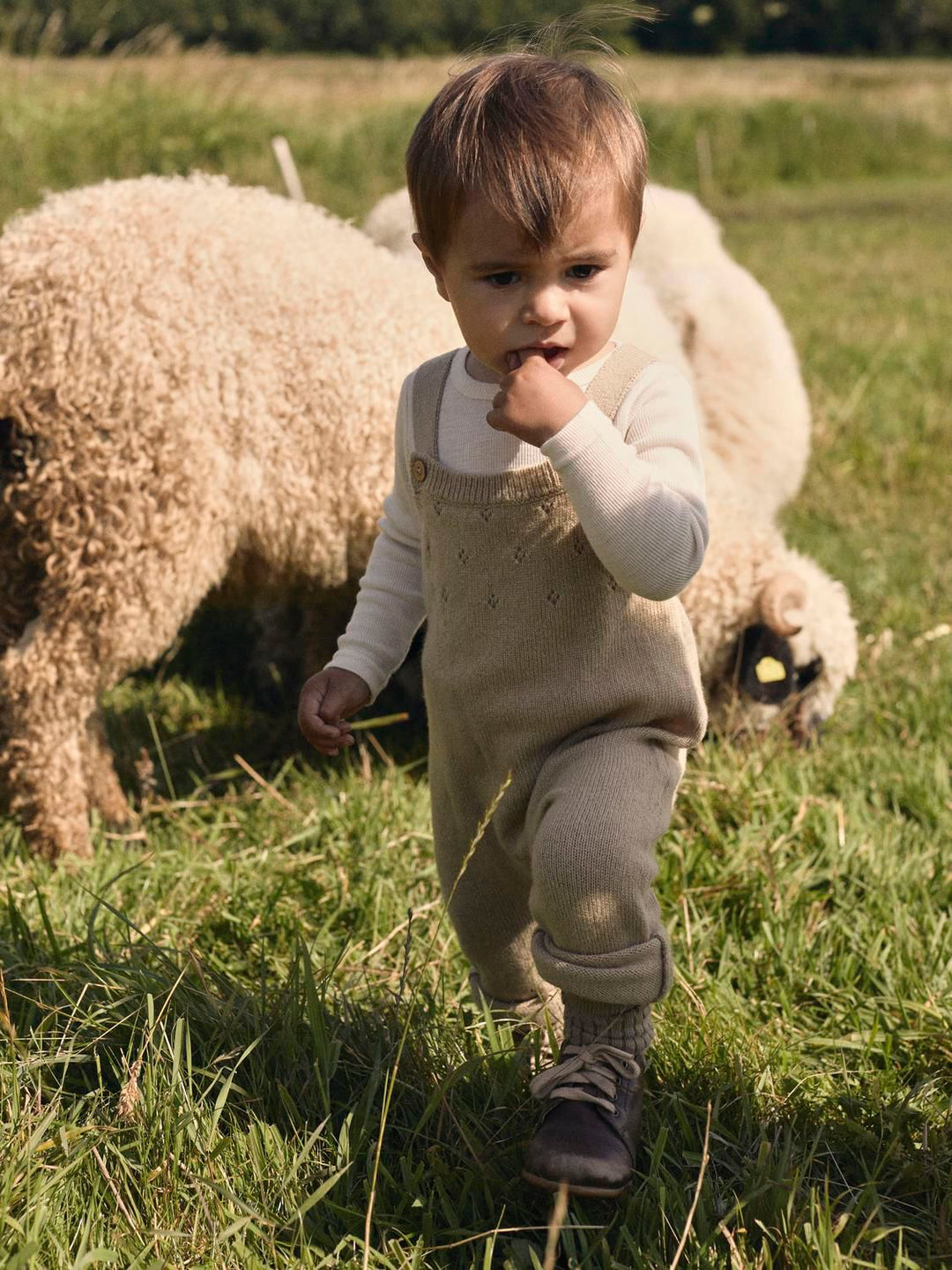 Nalio Wool Knit Overall Lil  Beige