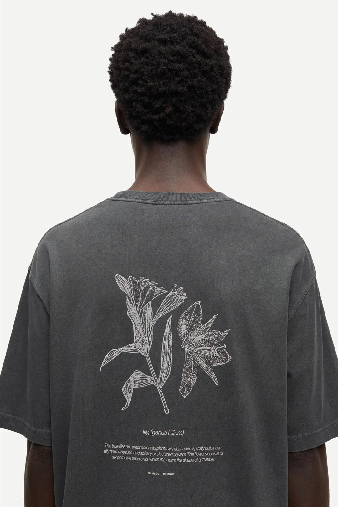 Salilium T-Shirt 15489  Lilium Clear Cream