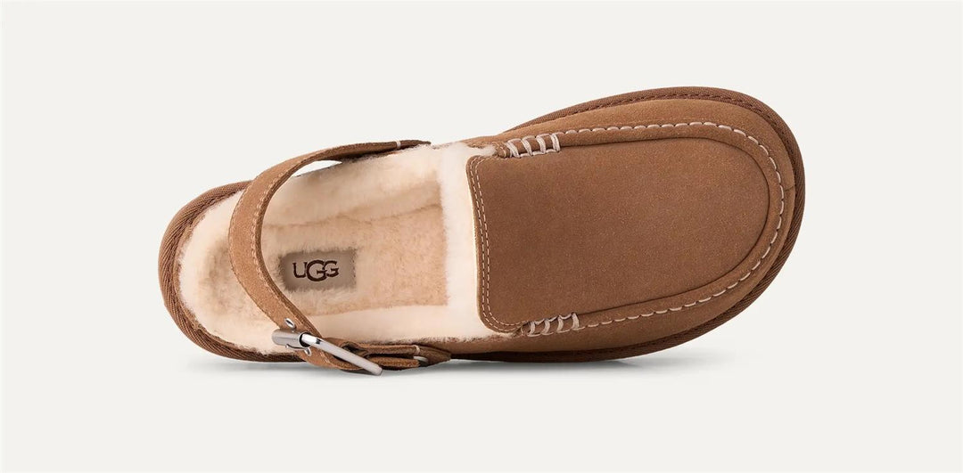 W Goldenstar Evelina Clog  Chestnut