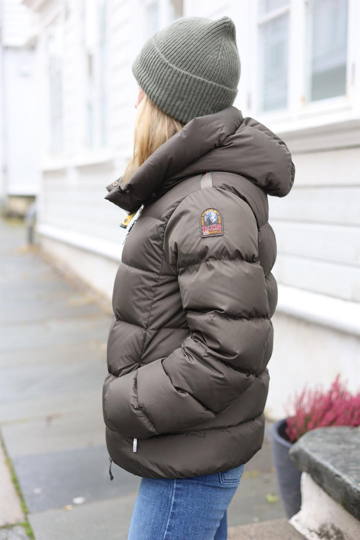 JINNY  Taggia Olive