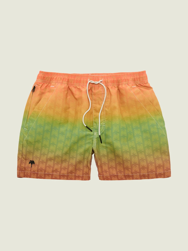 REGGAE AIR SWIM SHORTS