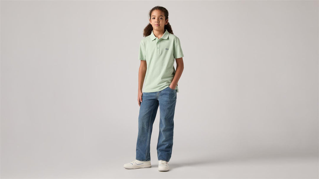 505 REGULAR FIT JEAN  Clouded Tones