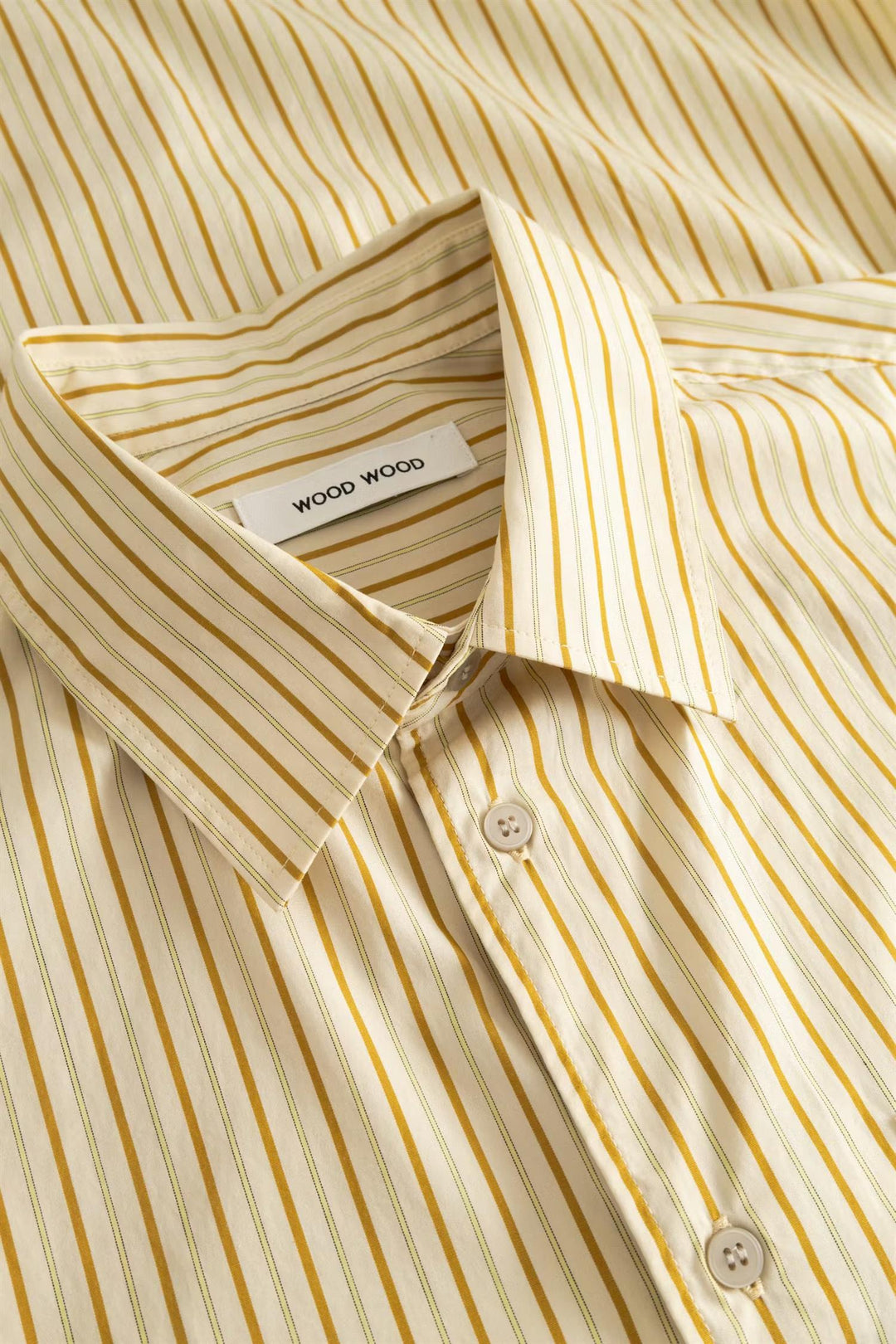 WWNico shirt 25115  Golden Palm Stripe