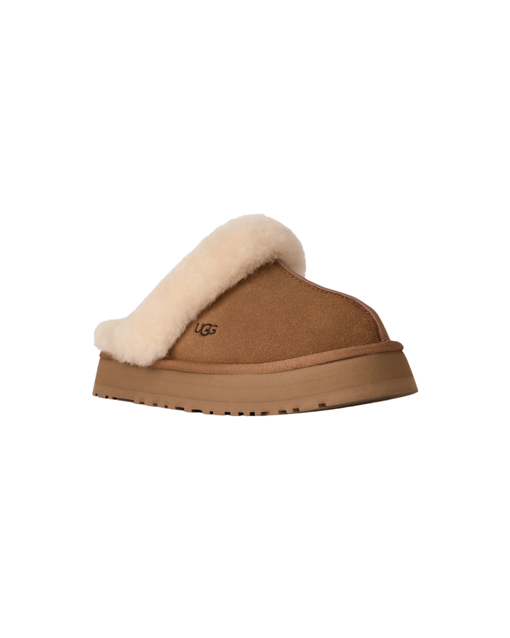 W Disquette  Chestnut