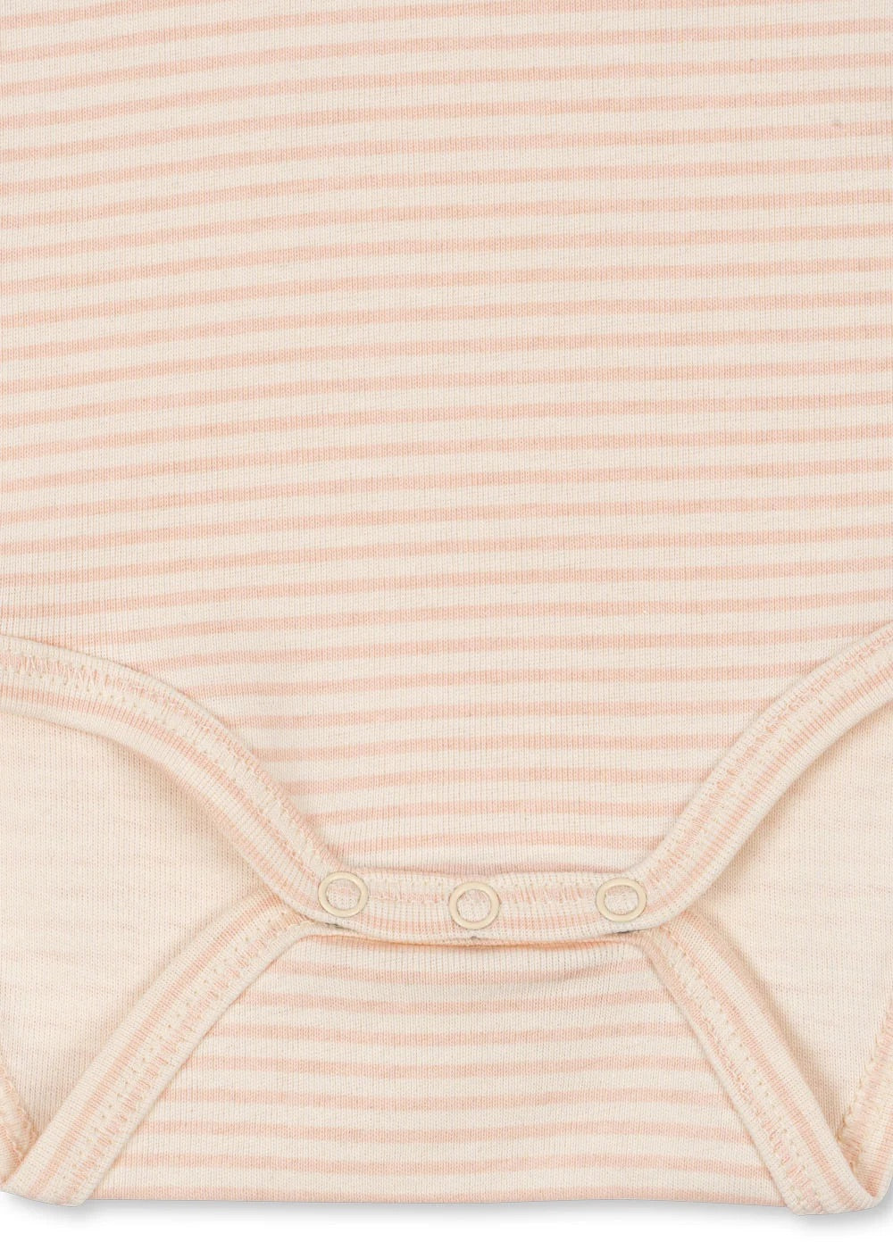 FIO STRIPE LS BODY Tea Stripe Cameo