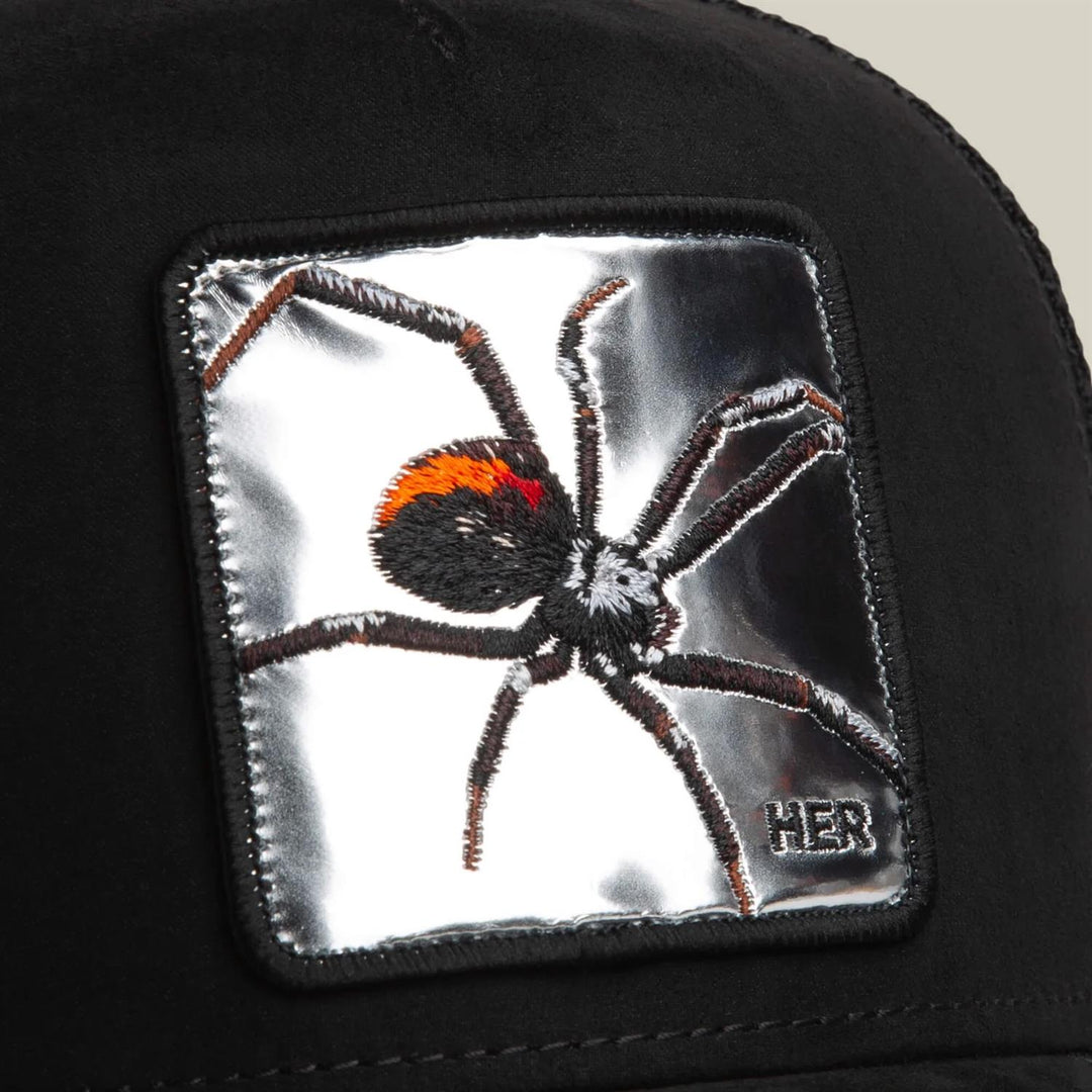 SILVER SPIDER  Void