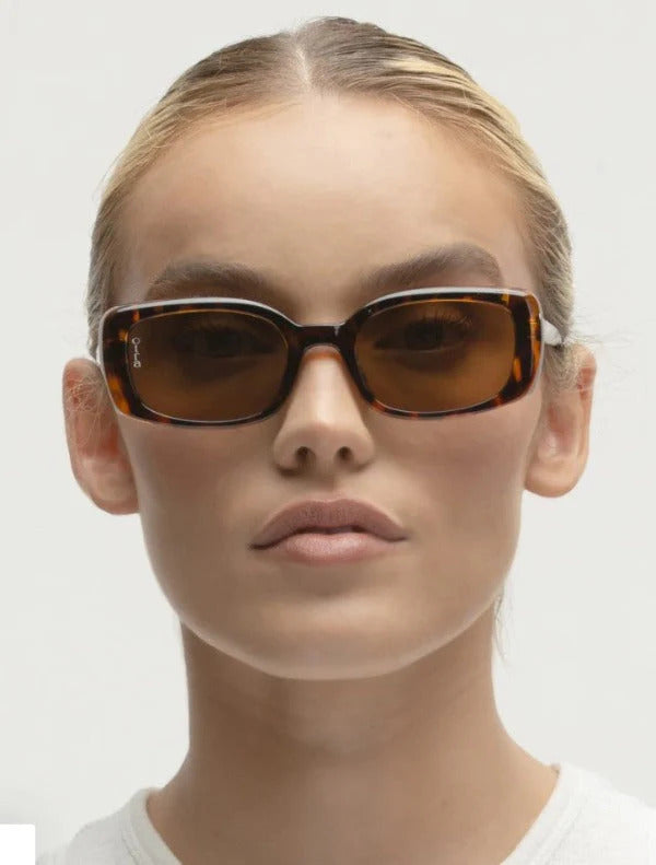Daisy  Tort/Brown