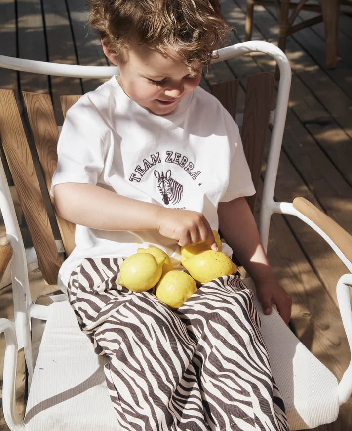 SOMMER ZEBRA T-SHIRT  Cloud Dancer