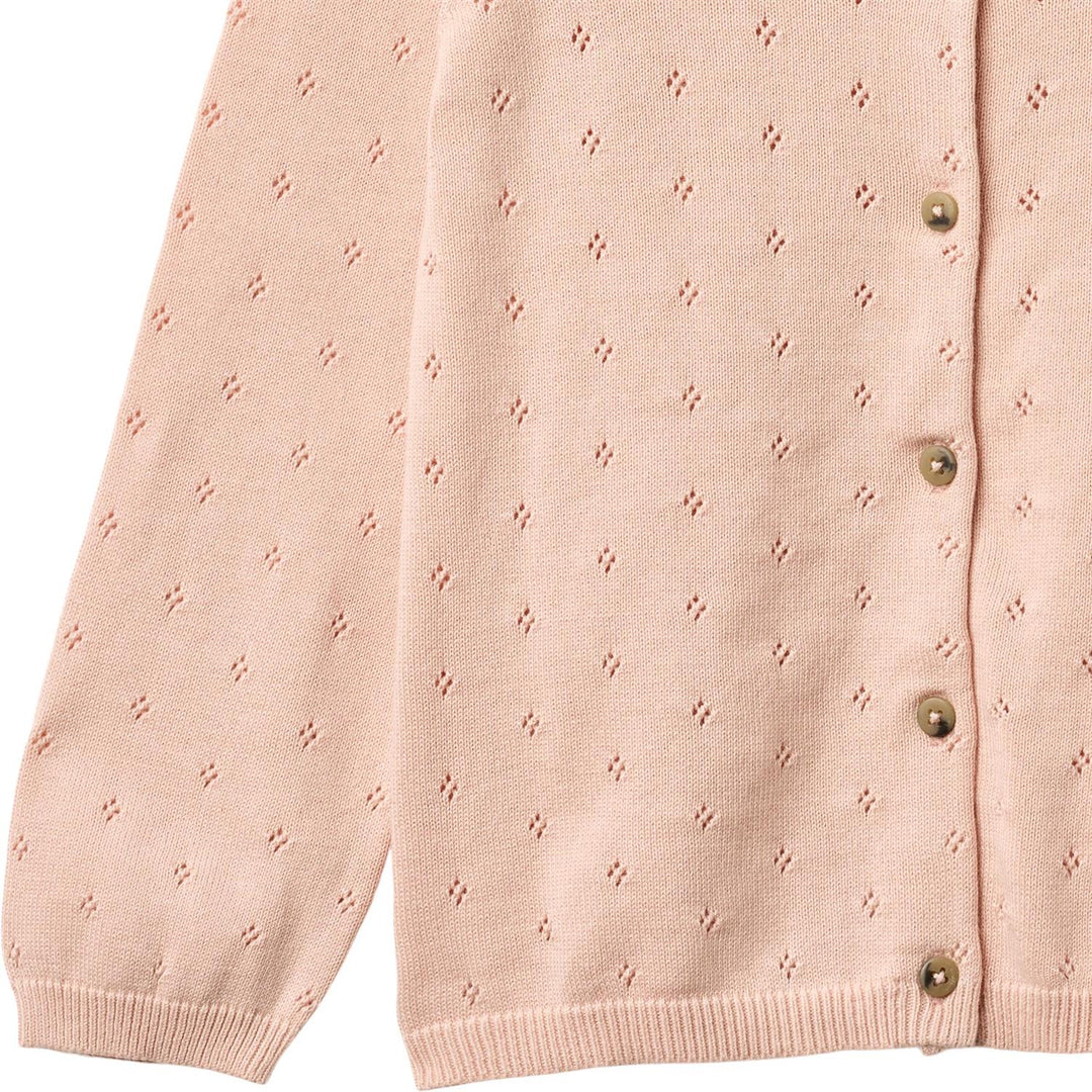 Knit Cardigan Maia  Powder