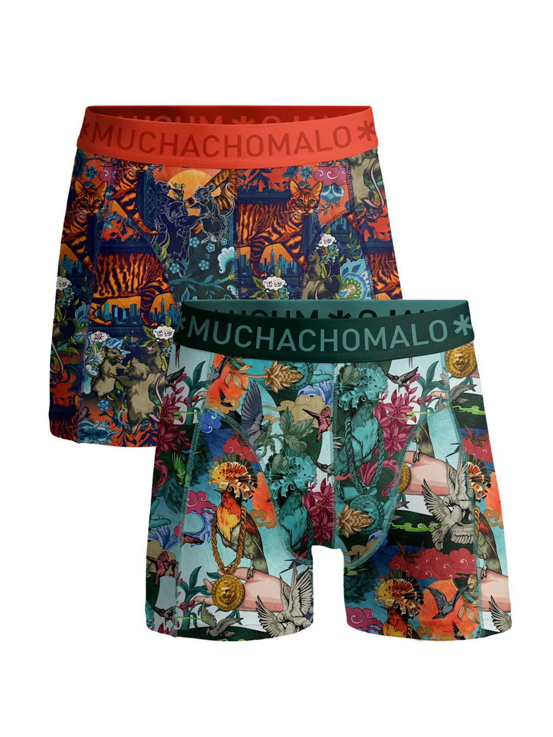 1010 BIRDCAT-04 2PK BOXER