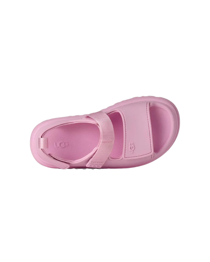 K GoldenGlow  Pink Diamond