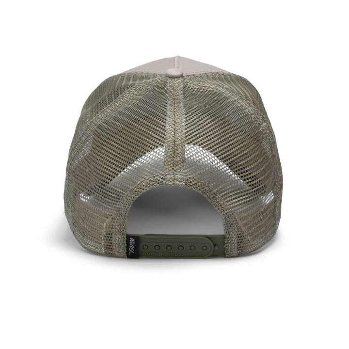 THE BANDIT COYOTE  Light Grey