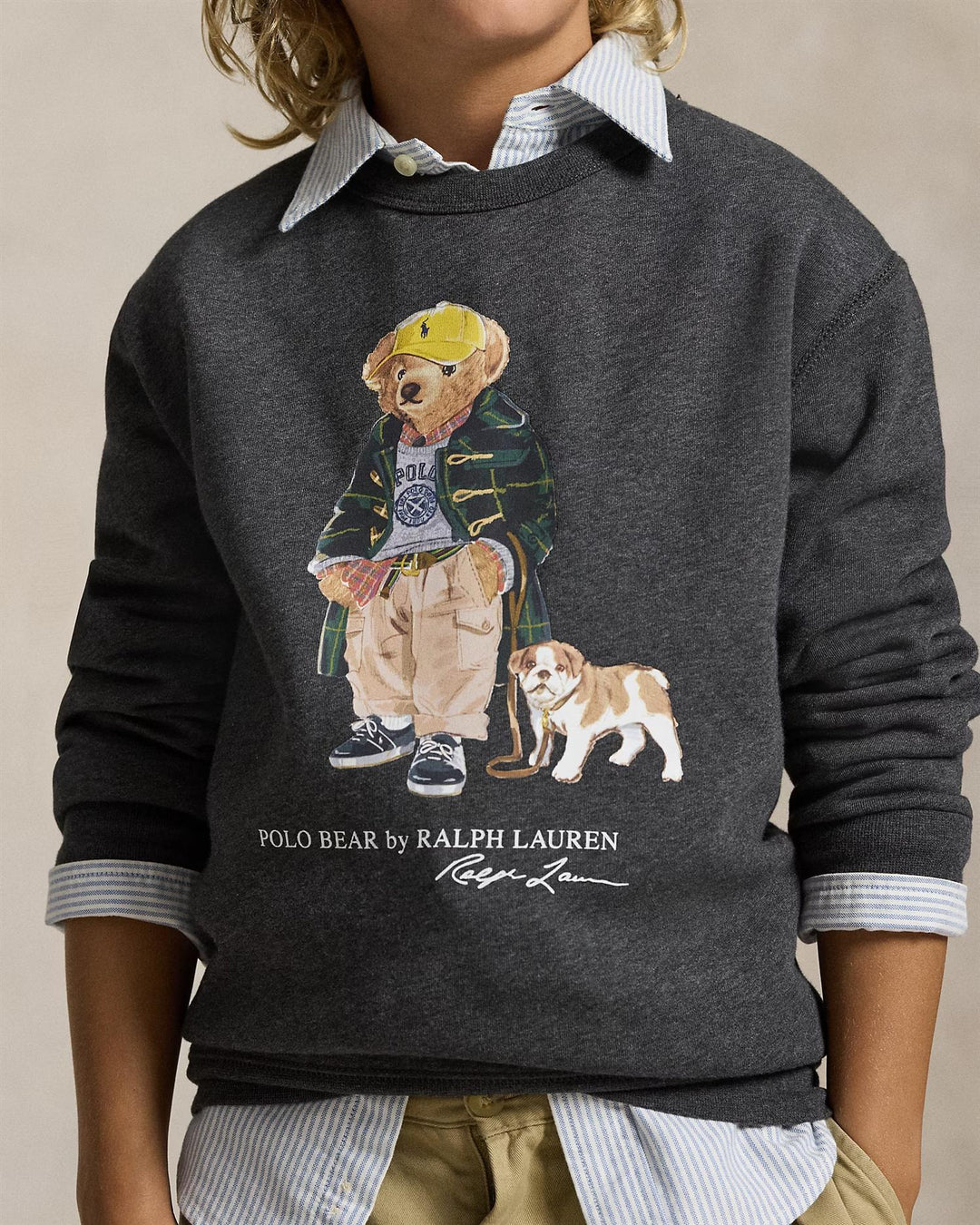 SWEATSHIRT BEAR  Grå