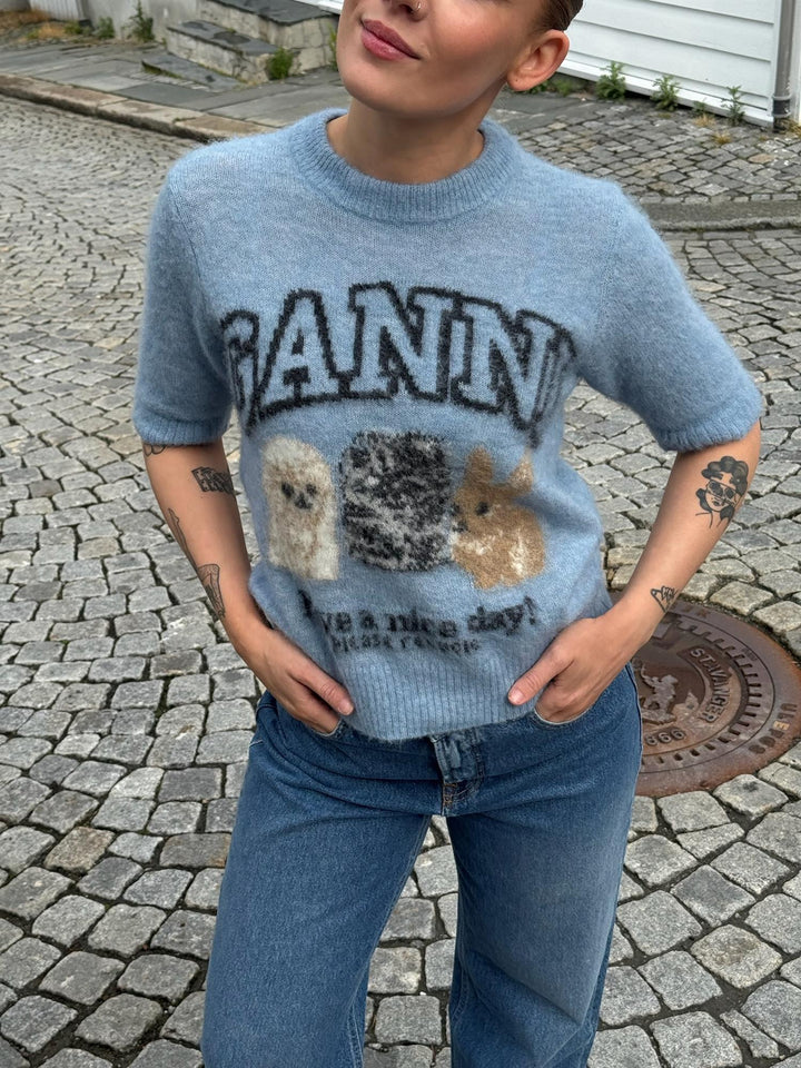 FINE BRUSHED ALPACA PUPPIES T SHIRT  Soft Chambray