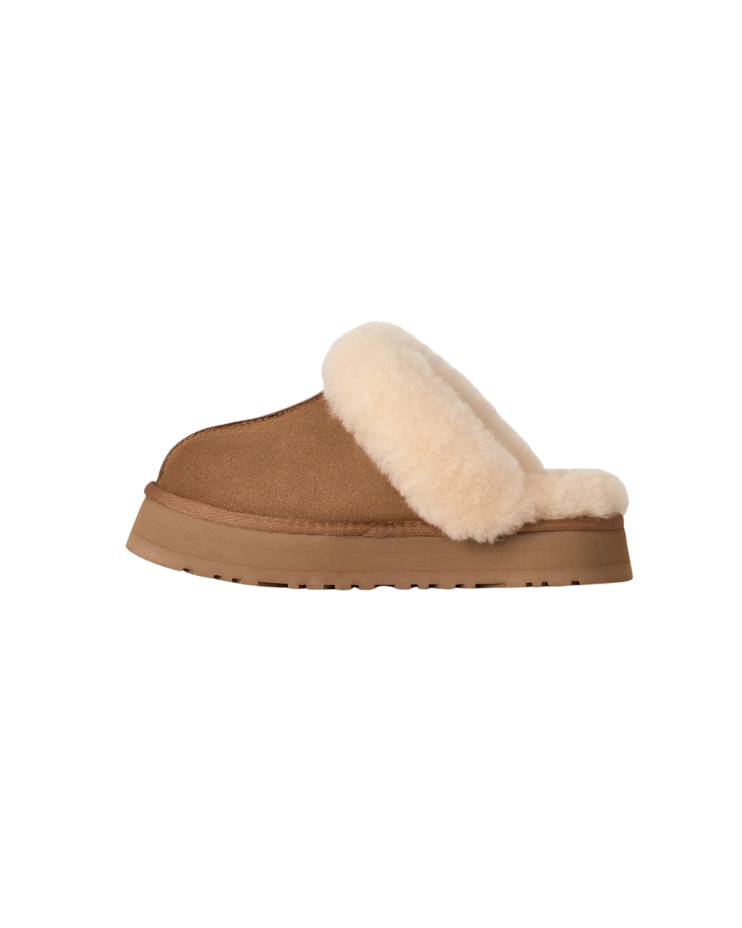 W Disquette  Chestnut