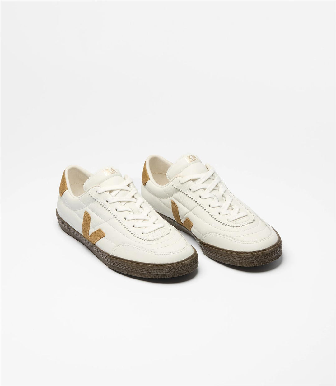 Panenka  White_Tent_Falcon