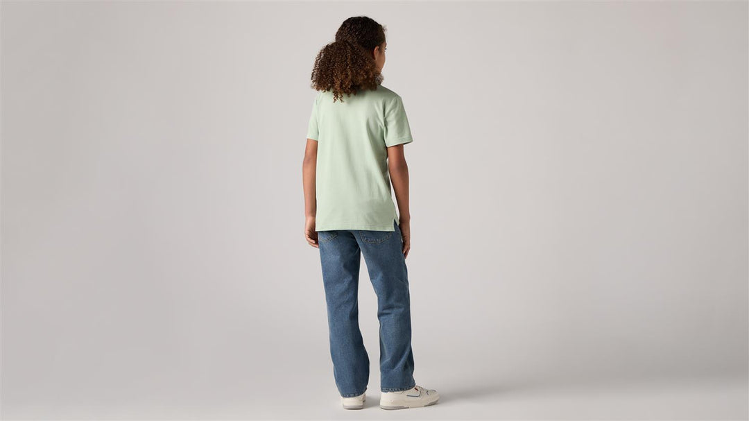 505 REGULAR FIT JEAN  Clouded Tones
