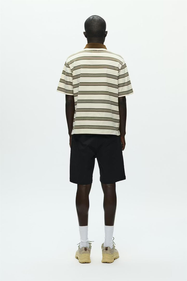 WWColton polo 25381  Desert Palm Stripe