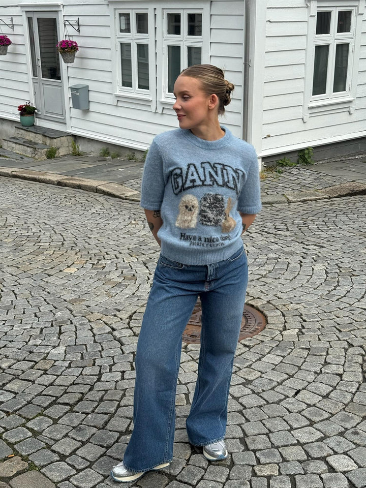 FINE BRUSHED ALPACA PUPPIES T SHIRT  Soft Chambray